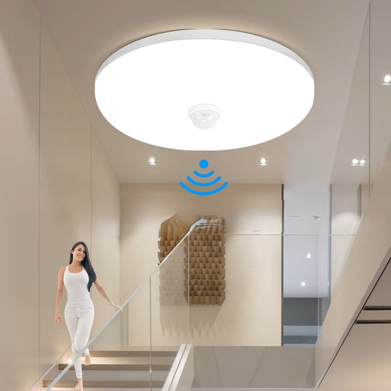 Motion Sensor Ceiling Light
