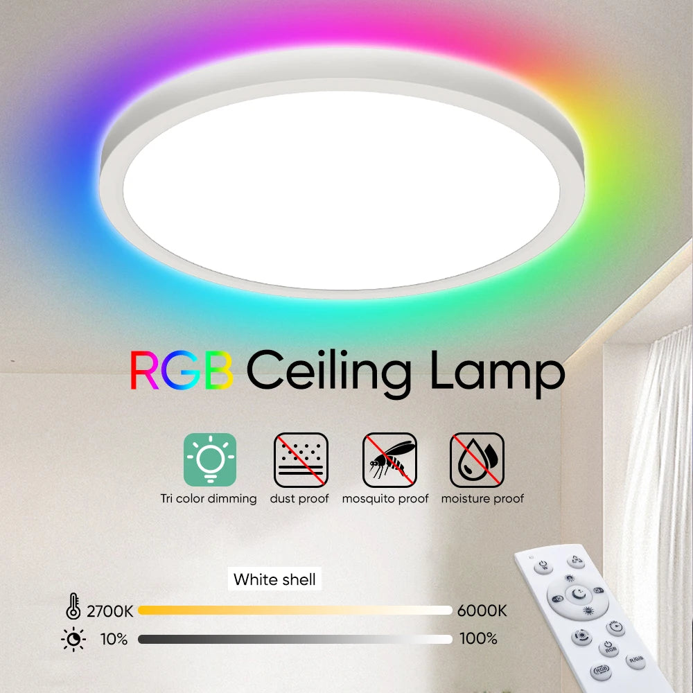 220V LED Ceiling Light Dimmable With Remote Control RGB 3000K-6500K Round Lamp