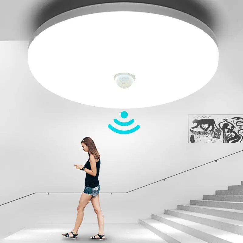 Motion Sensor Ceiling Light