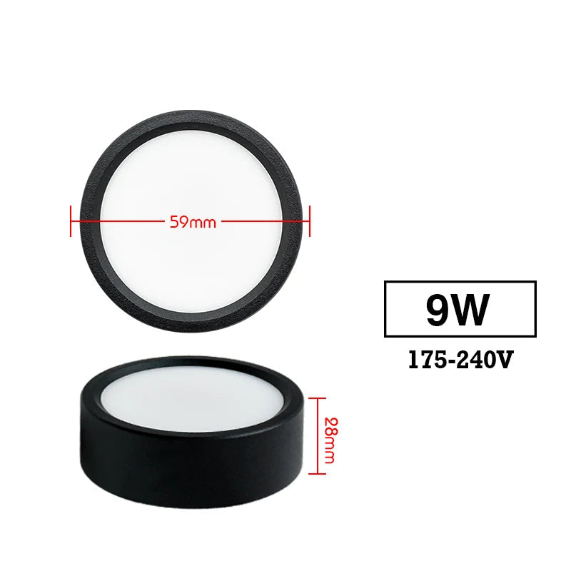 Led 220V Ceiling Downlights Royal Lights & Home Decor