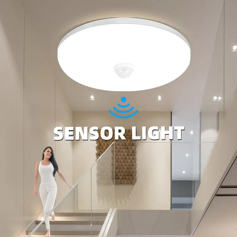 Motion Sensor Ceiling Light