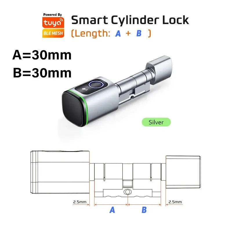 Smart Lock With Tuya Bluetooth Fingerprint 13.56mhz IC Card Include Royal Lights & Home Decor