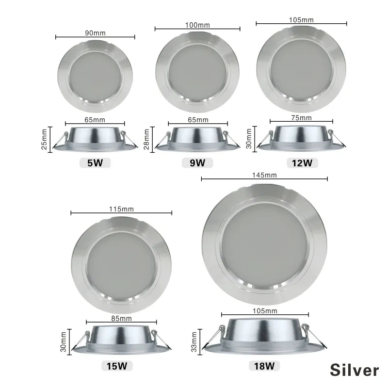 220V Ceiling Light - Royal Lights & Home Decor