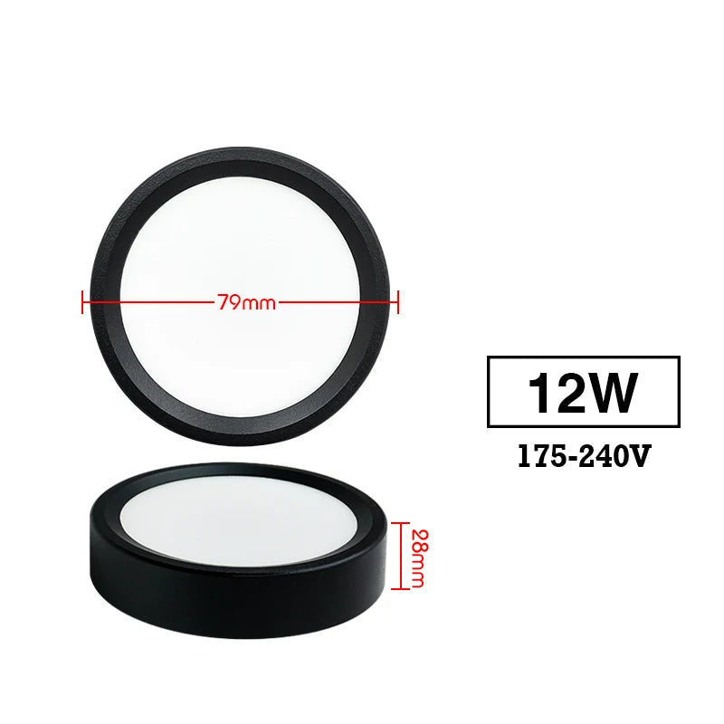Led 220V Ceiling Downlights Royal Lights & Home Decor