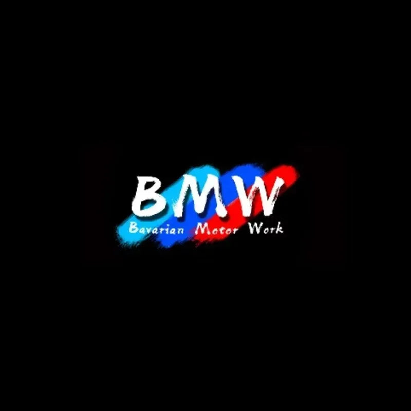 2/4Pcs LED Car HD Door Welcome Light For BMW