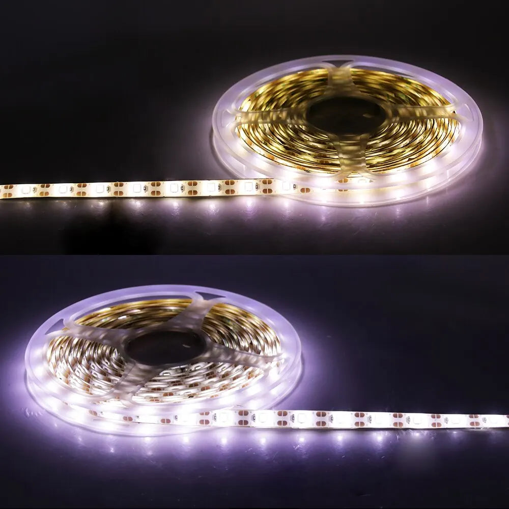 USB LED Strip Light Royal Lights & Home Decor