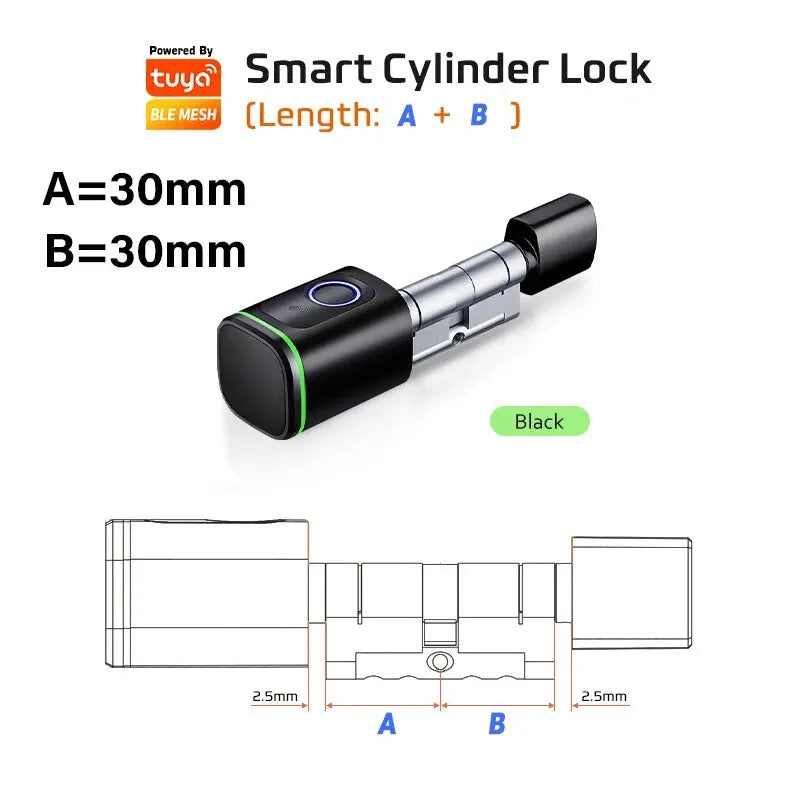 Smart Lock With Tuya Bluetooth Fingerprint 13.56mhz IC Card Include Royal Lights & Home Decor