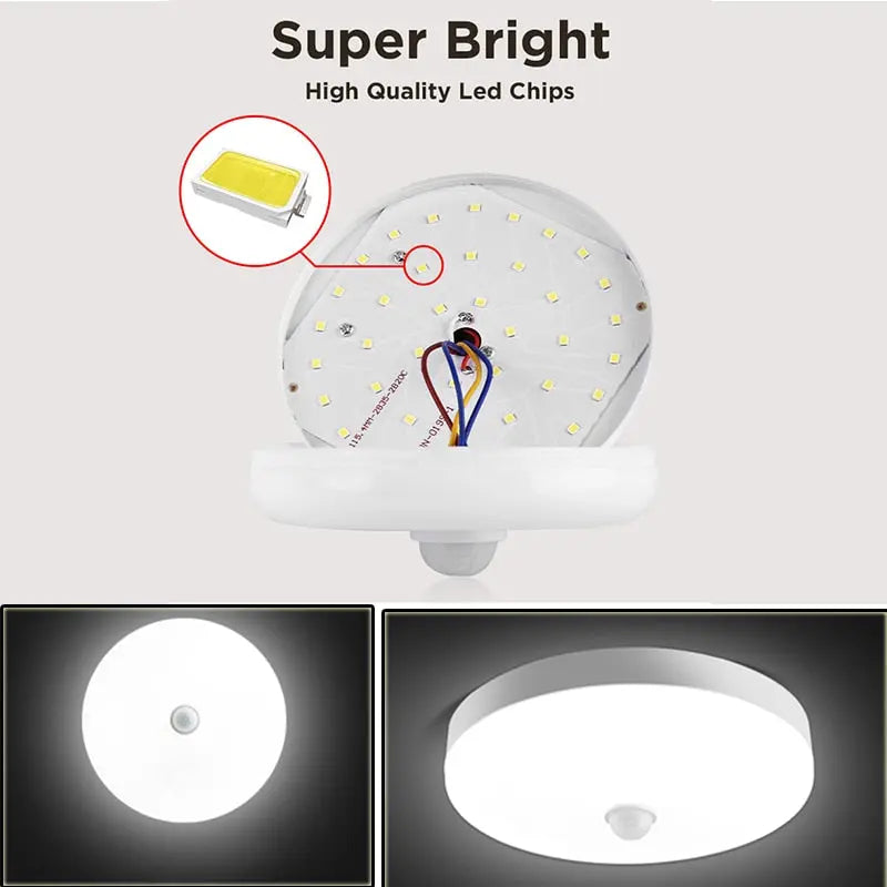 Motion Sensor Ceiling Light