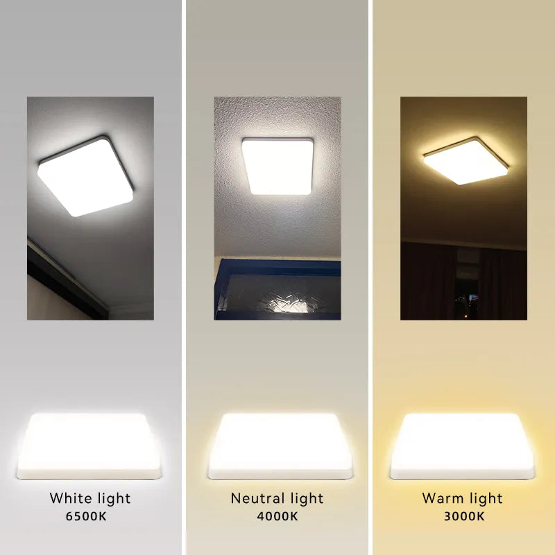 LED Ceiling Lamp - Royal Lights & Home Decor