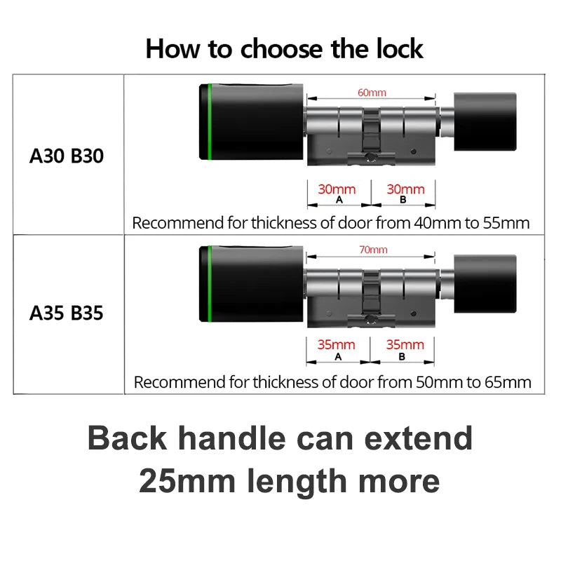 Smart Lock With Tuya Bluetooth Fingerprint 13.56mhz IC Card Include Royal Lights & Home Decor