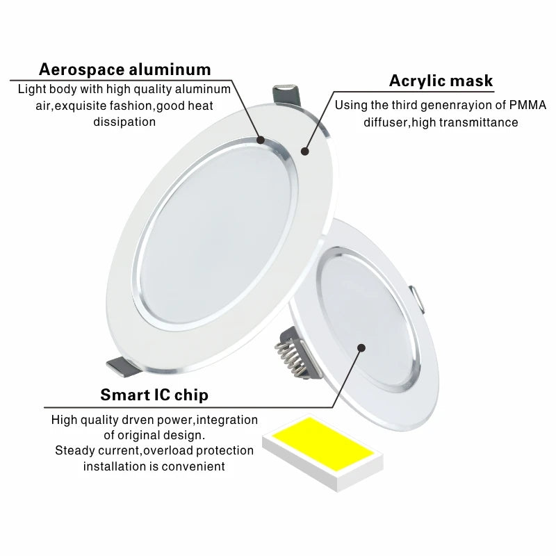 220V Ceiling Light