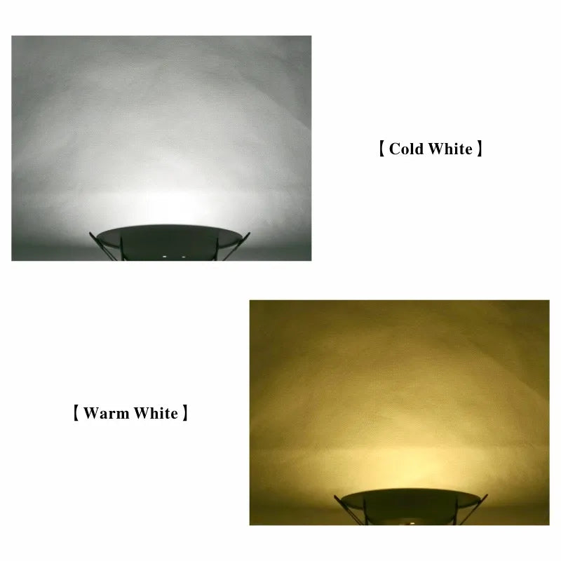 220V Ceiling Light