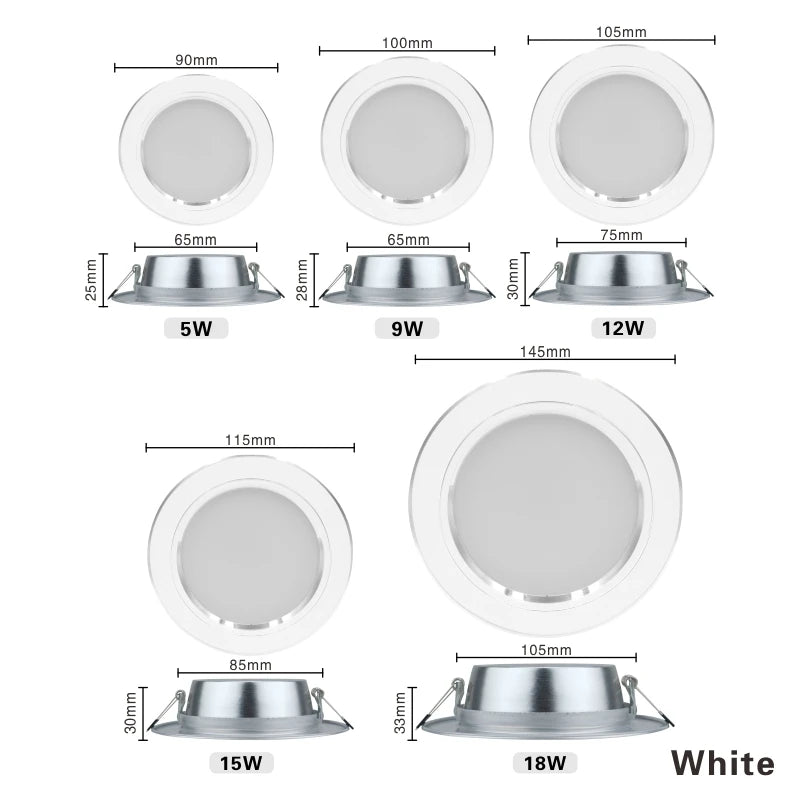 220V Ceiling Light - Royal Lights & Home Decor