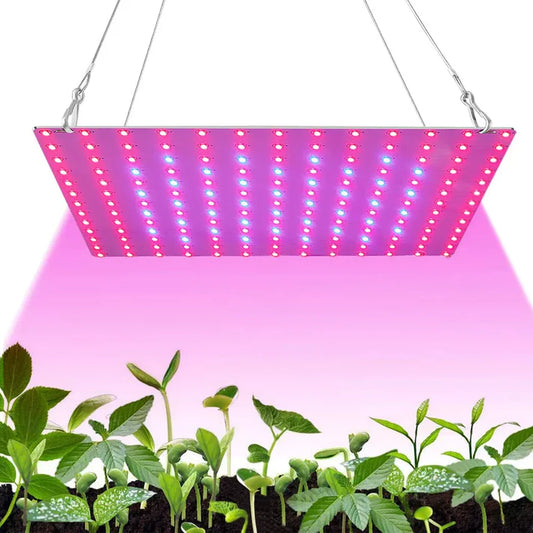 Unleash-the-Potential-of-LED-Plant-Grow-Lights-A-Gardener-s-Guide Royal Lights & Home Decor