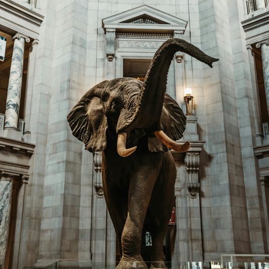 Enhance-Your-Home-Décor-with-an-Antique-Elephant-Statue Royal Lights & Home Decor