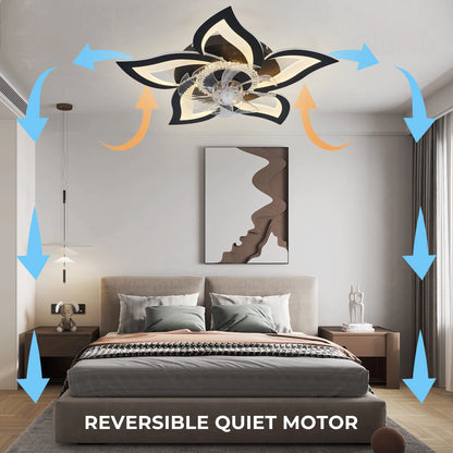 Ceiling Fans With Lights