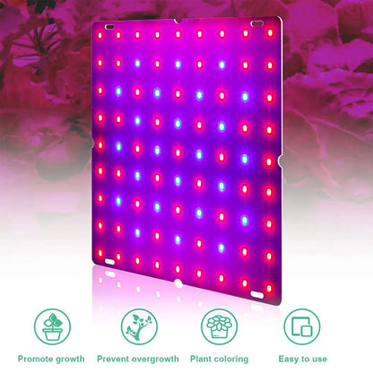 LED Plant Grow Light