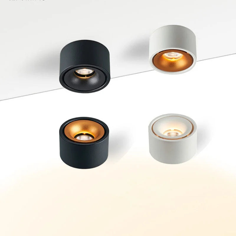 Surface Mounted LED Downlight