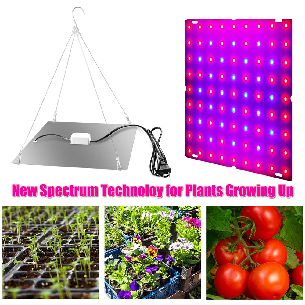 LED Plant Grow Light 1000W/2000W Full Spectrum Hydroponic Royal Lights & Home Decor
