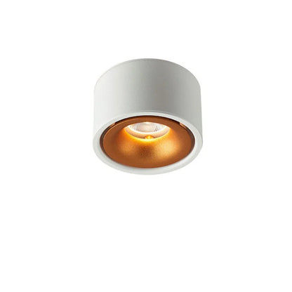 Surface Mounted LED Downlight