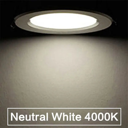 Dimmable Waterproof LED Downlight