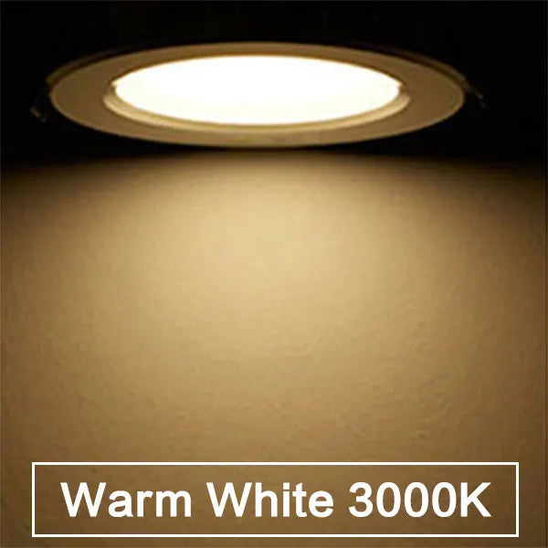 Dimmable Waterproof LED Downlight