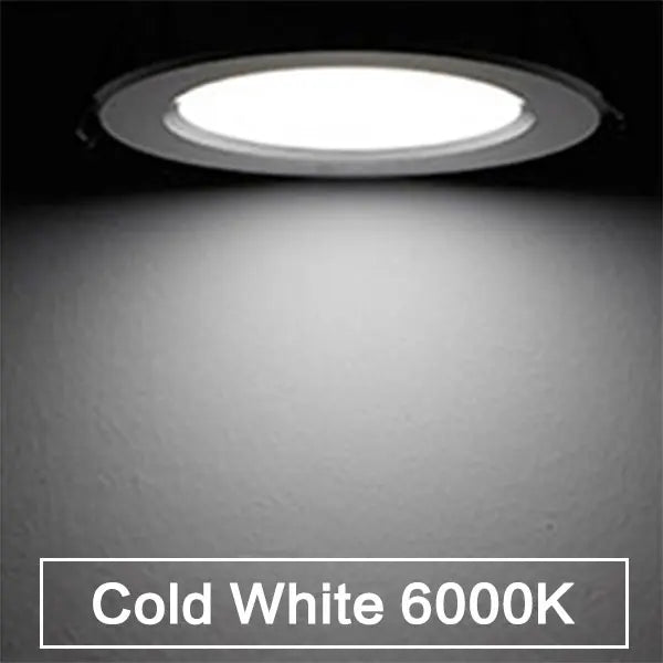 Dimmable Waterproof LED Downlight