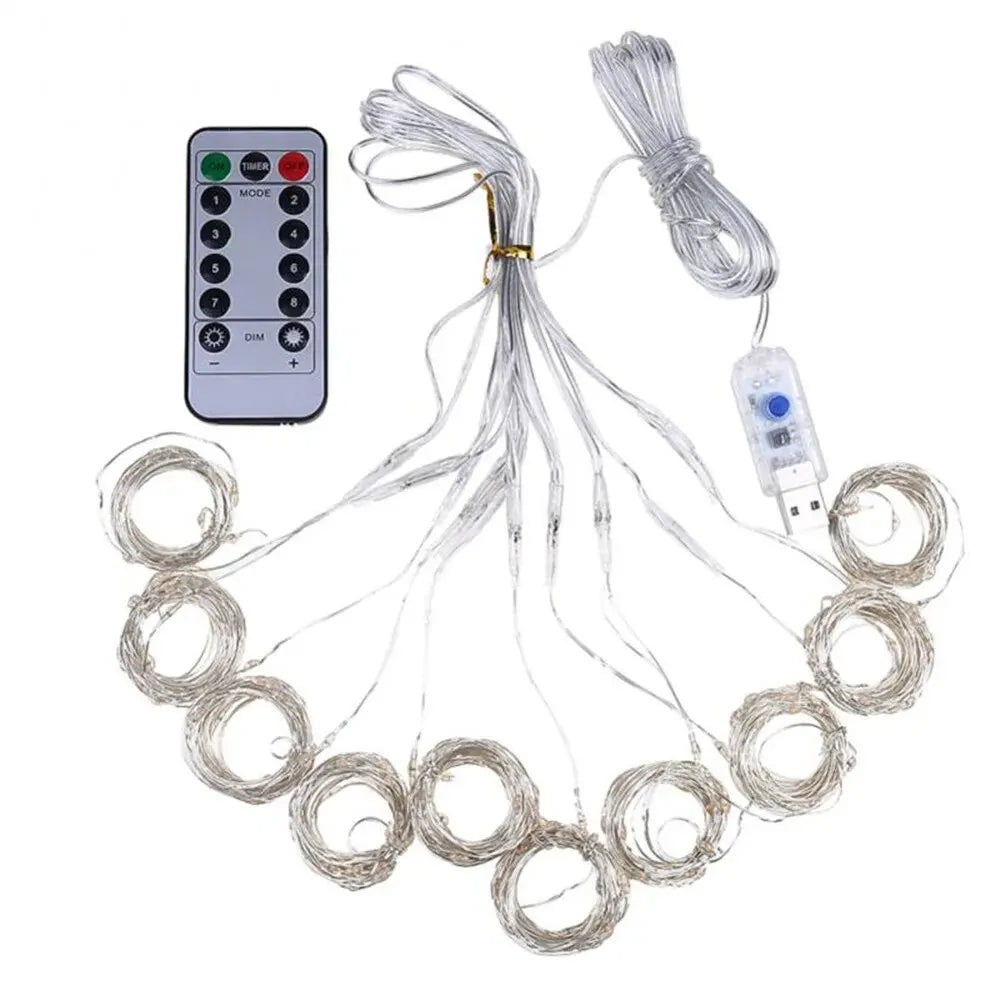 String lights with remote control and USB cable on a white background