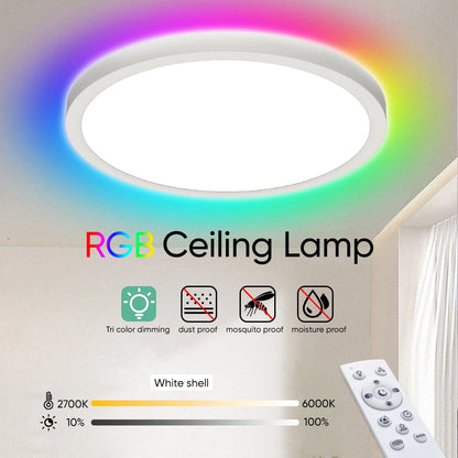 220V LED Ceiling Light Dimmable With Remote Control RGB 3000K-6500K Round Lamp