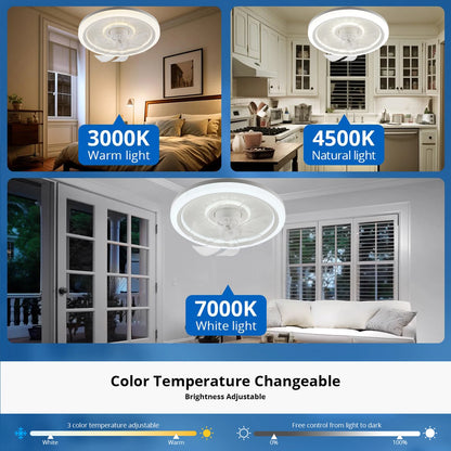 360° Rotating Modern Ceiling Fan with Light