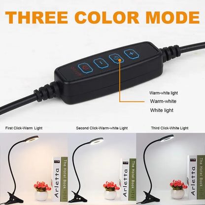 LEDs Desk Lamp - Royal Lights & Home Decor