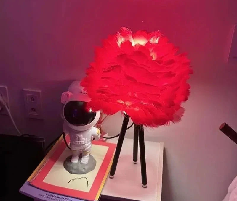 Modern Simple Feather LED Table Lamp Royal Lights & Home Decor