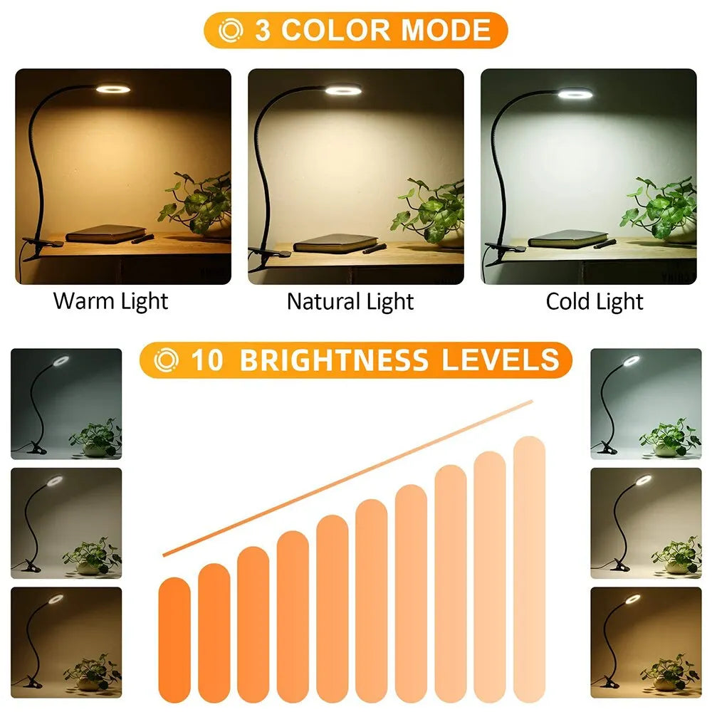 LEDs Desk Lamp