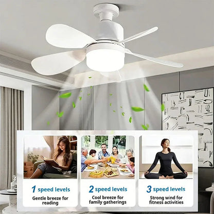 Lamp Head Five Leaf Fan Light