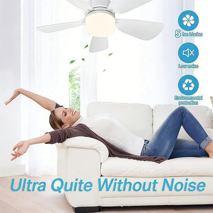 Lamp Head Five Leaf Fan Light